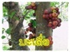 ภาพประจำตัวสมาชิก