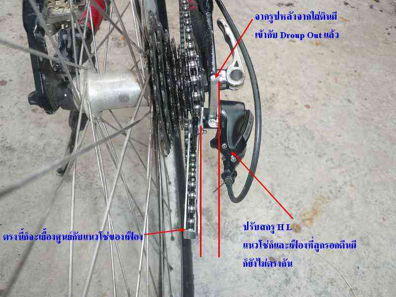 รูปภาพ