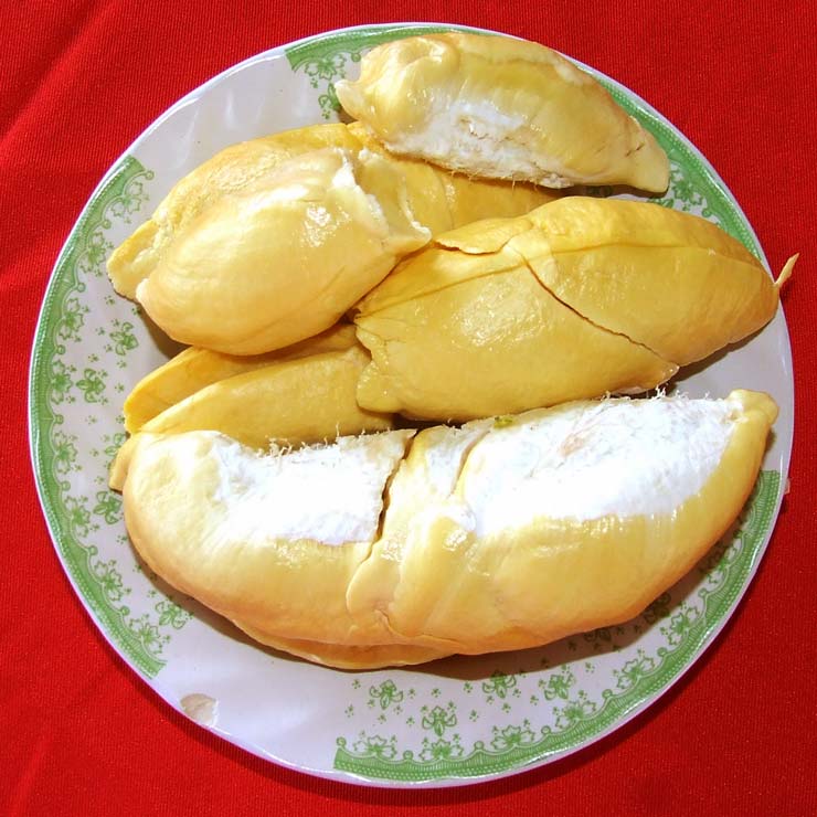 รูปภาพ