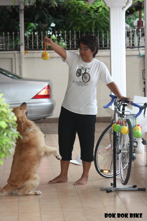รูปภาพ