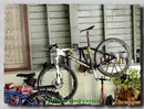 DSCF04693.jpg