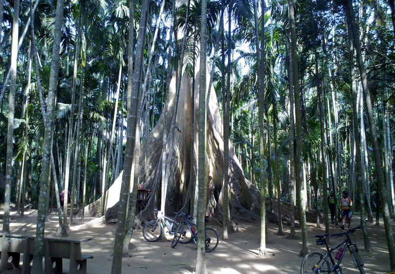 รูปภาพ
