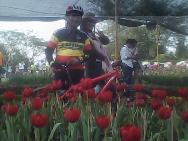 รูปภาพ