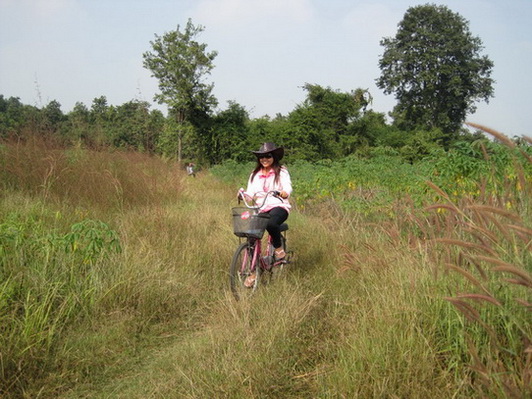 รูปภาพ