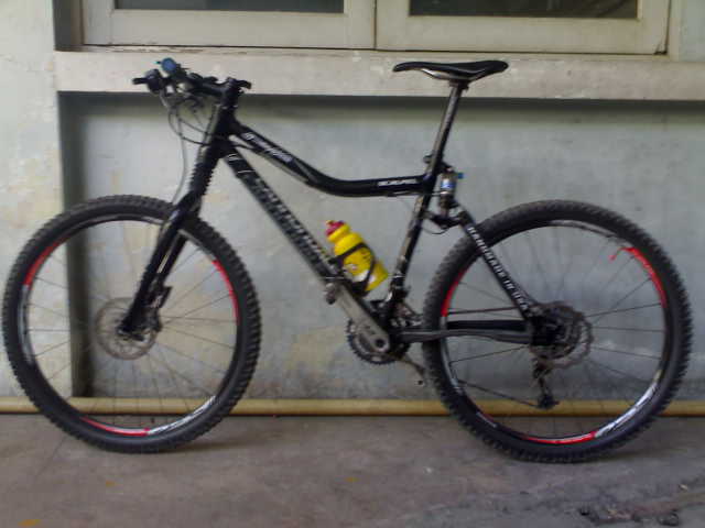 241120081677.jpg