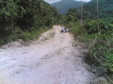 113.jpg