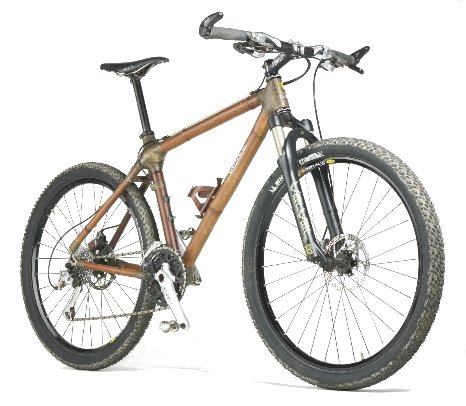bamboo-bike.jpg
