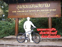 3_184.jpg