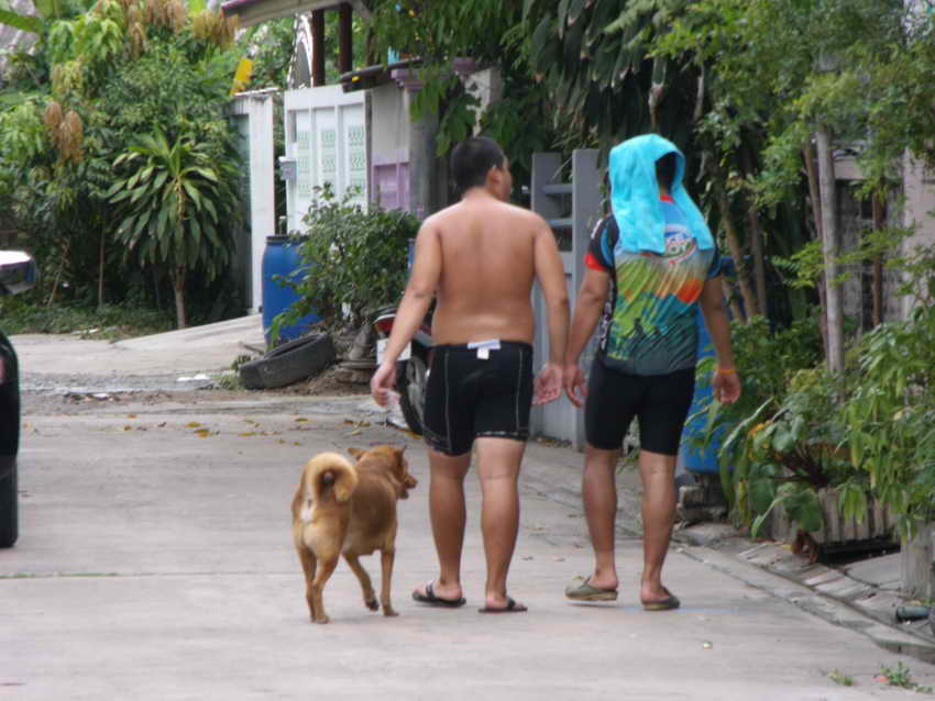 รูปภาพ