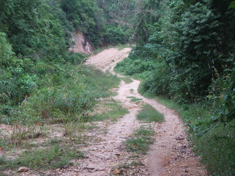 DSCF7184.jpg