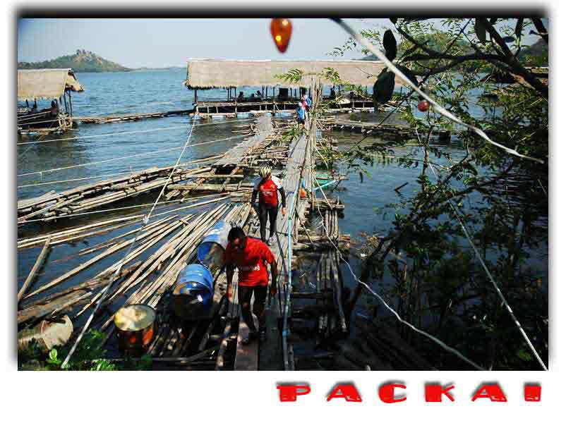 รูปภาพ