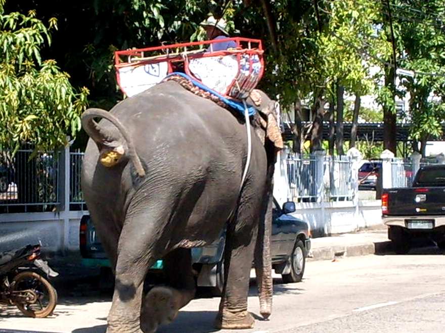 รูปภาพ