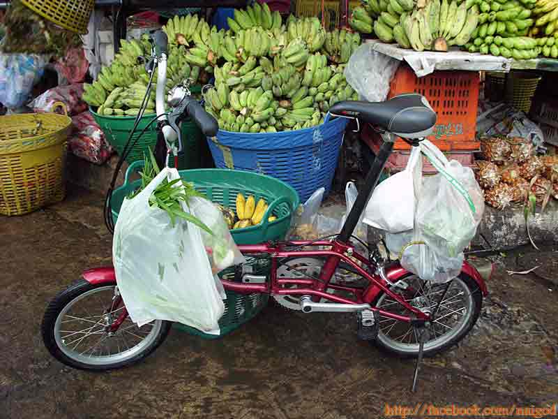 รูปภาพ