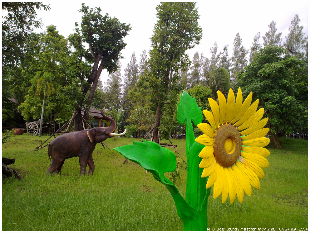รูปภาพ