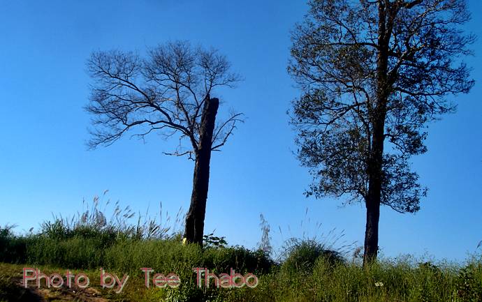 รูปภาพ