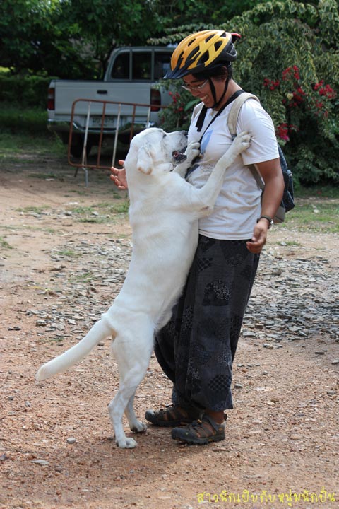รูปภาพ