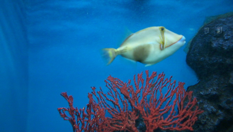 P1000034_resize.JPG