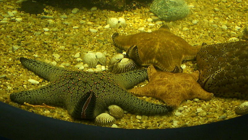 P1000040_resize.JPG