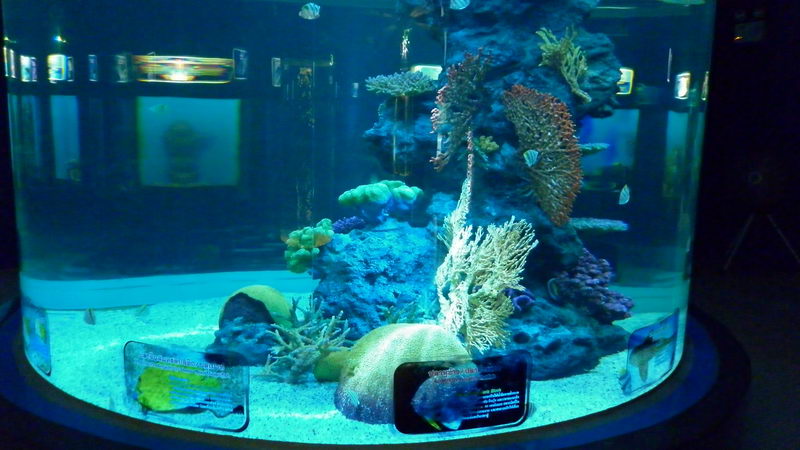 P1000027_resize.JPG
