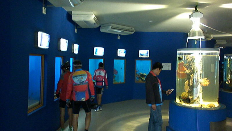 P1000021_resize.JPG
