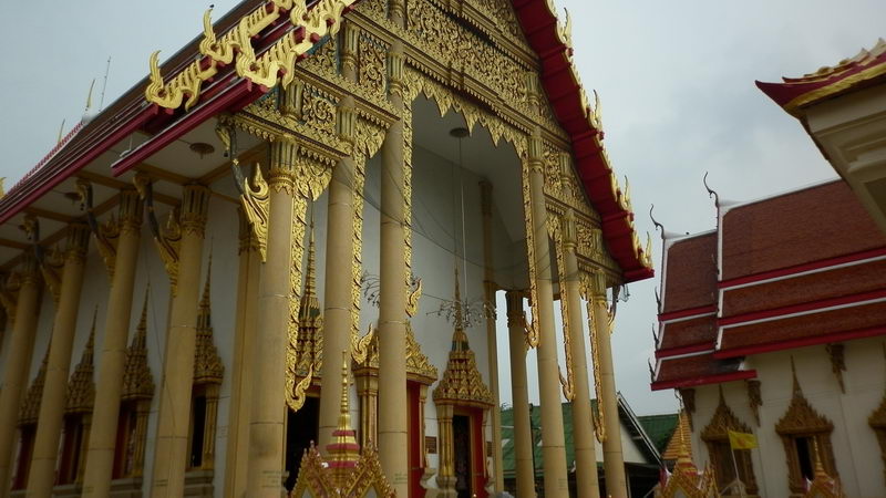 P1000008_resize.JPG