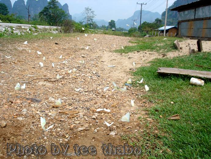 รูปภาพ
