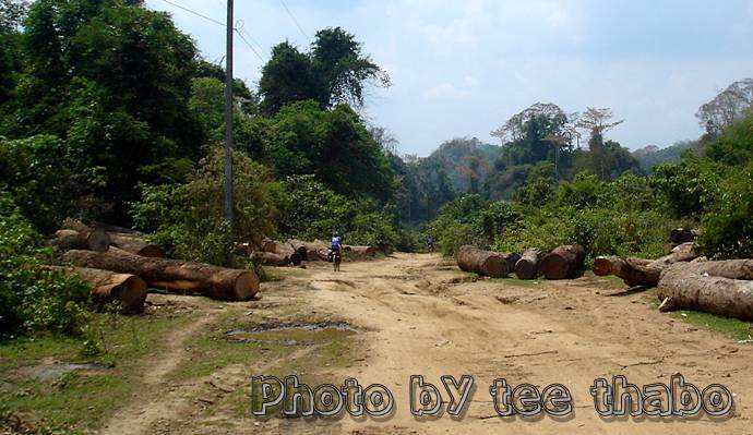 รูปภาพ