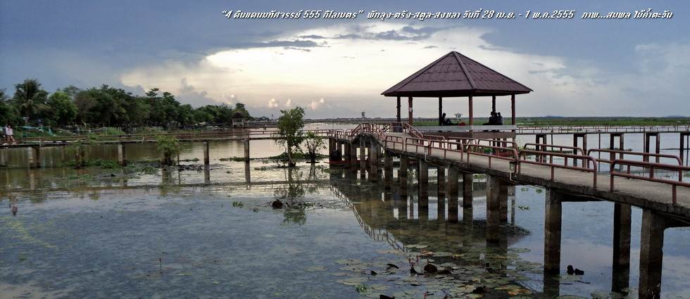 รูปภาพ