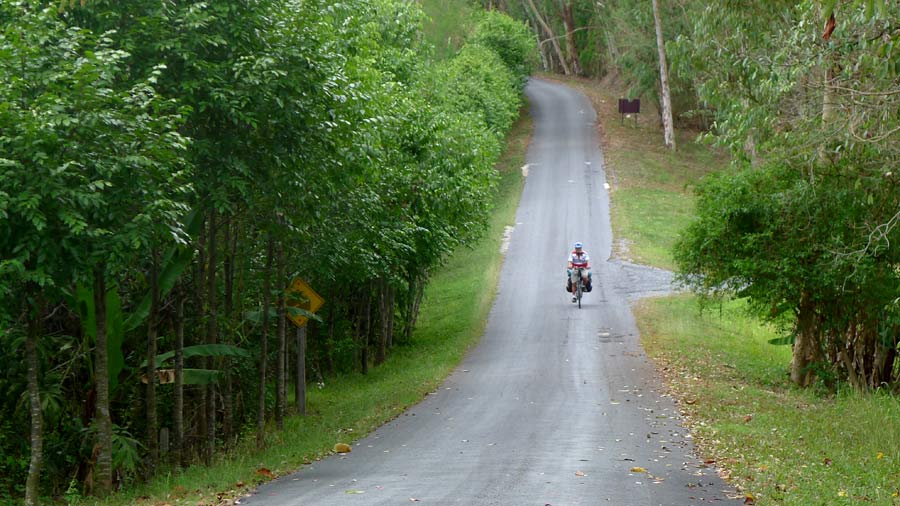 รูปภาพ