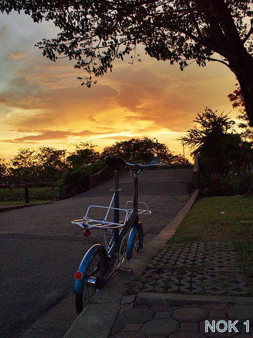 รูปภาพ