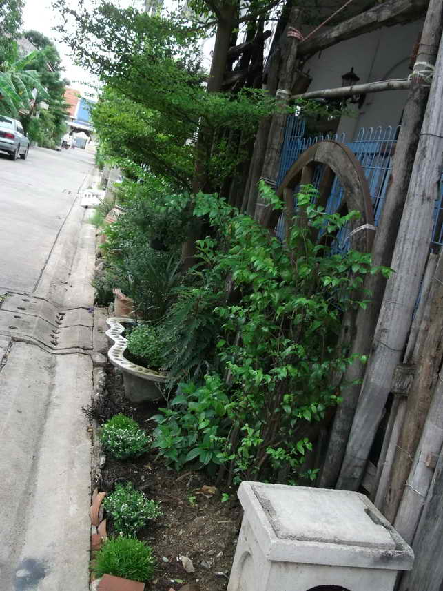 DSCF8344.JPG
