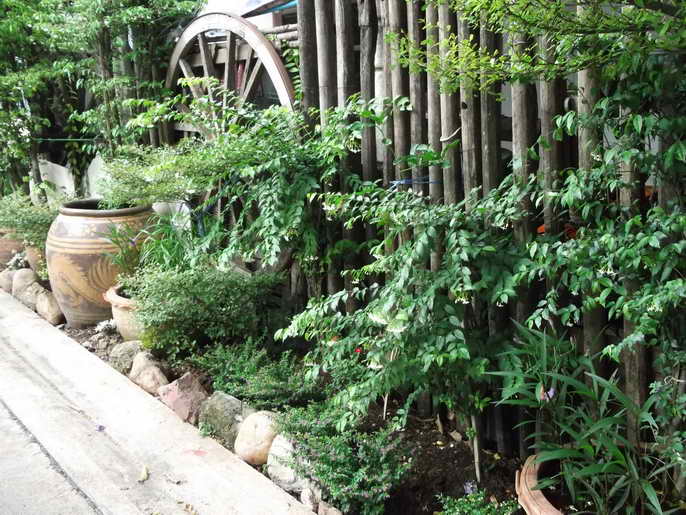 DSCF8343.JPG