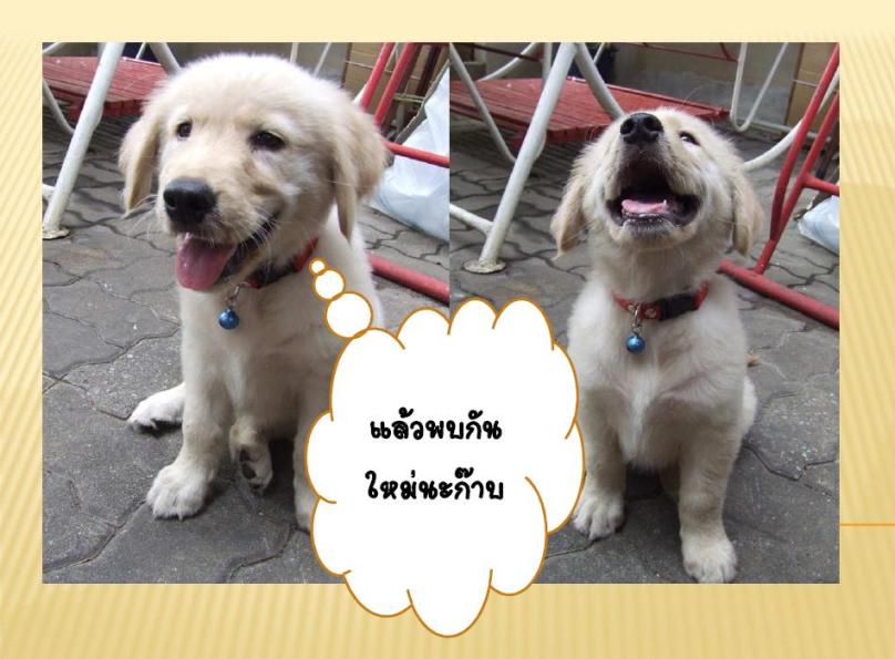 รูปภาพ