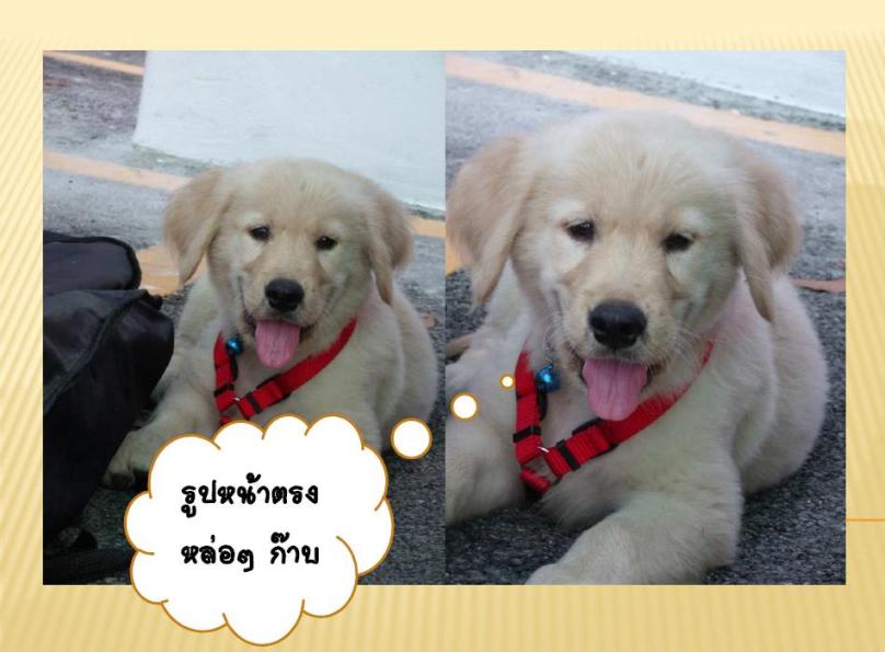 รูปภาพ