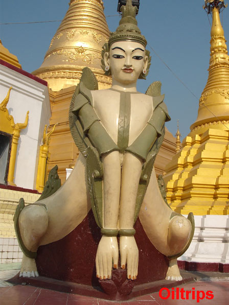 รูปภาพ