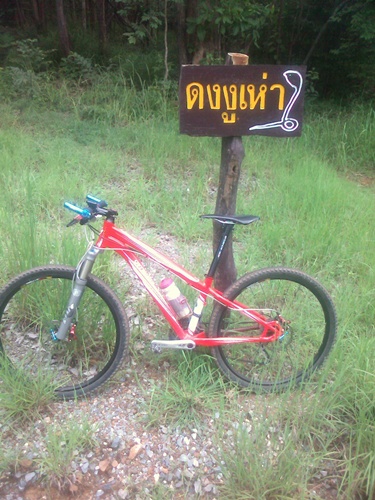 รูปภาพ