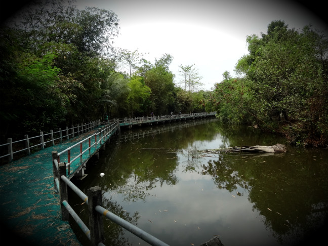รูปภาพ