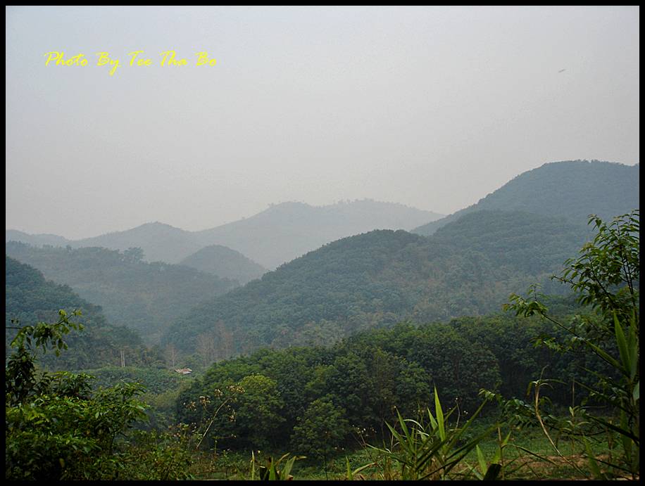รูปภาพ