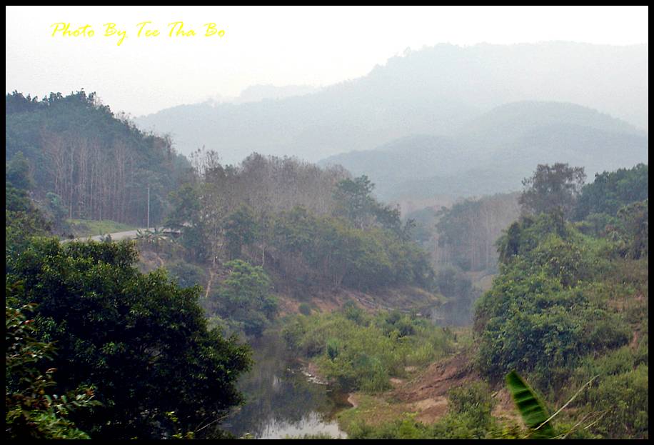 รูปภาพ