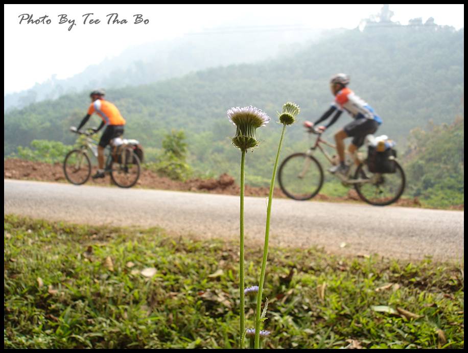 รูปภาพ
