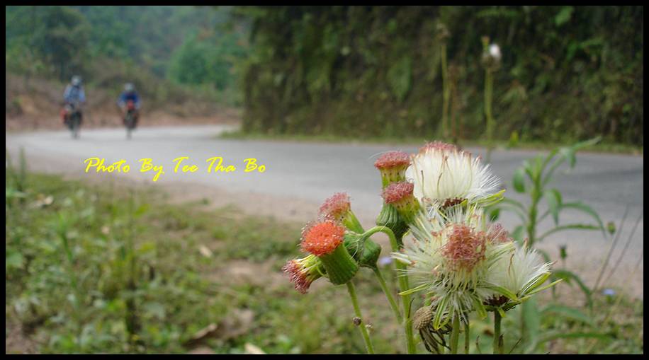 รูปภาพ