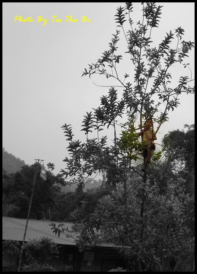รูปภาพ