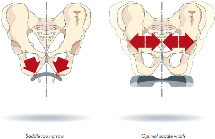 sit-fit-1-en.jpg