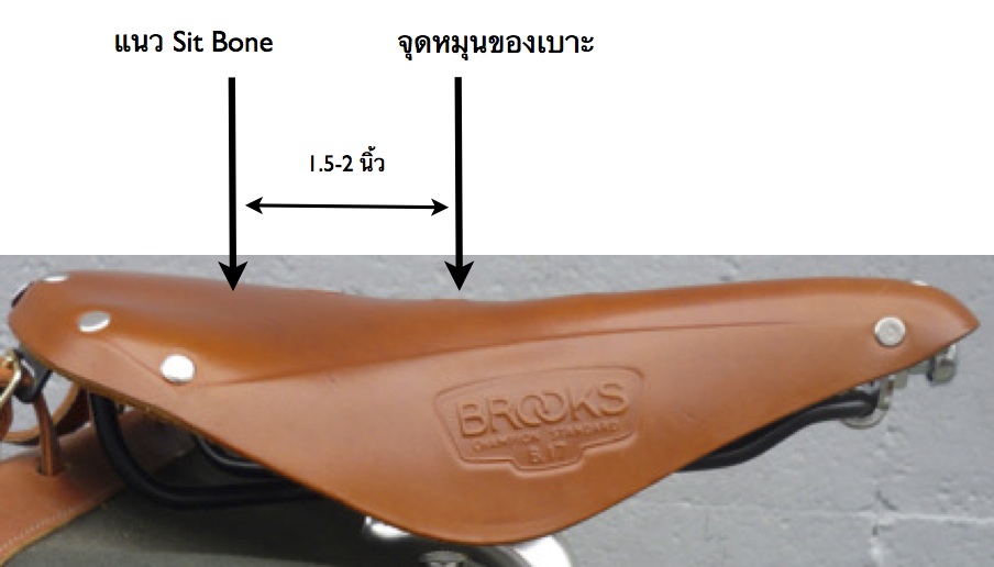 saddle_setup.jpg