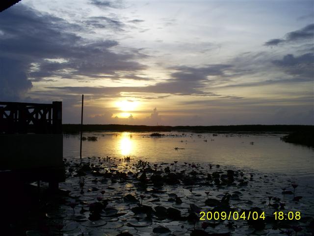 รูปภาพ
