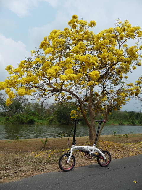 รูปภาพ