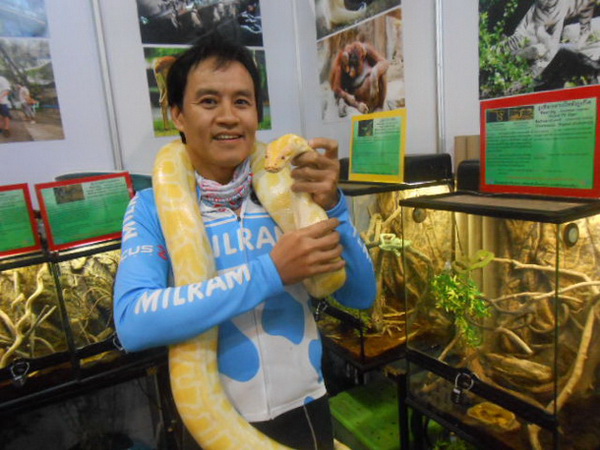 รูปภาพ