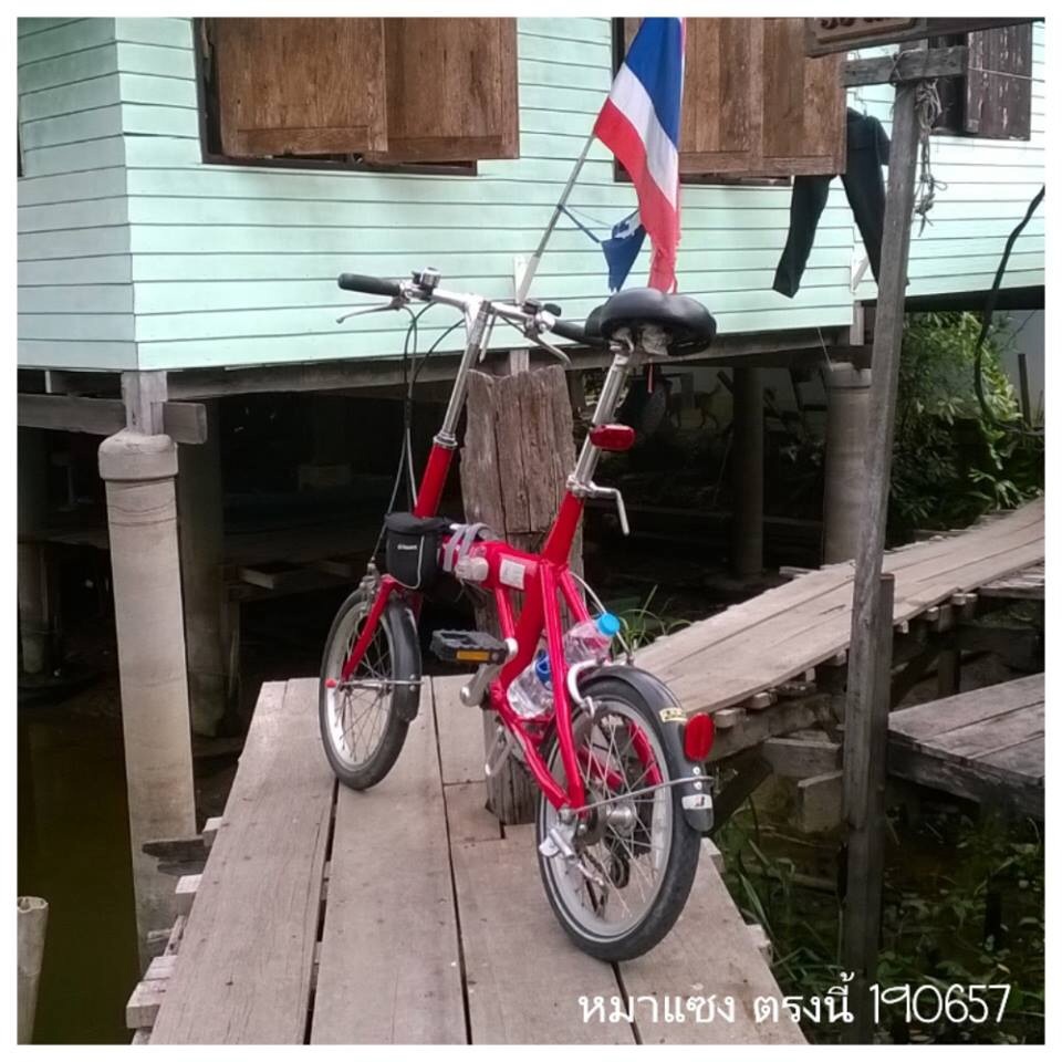 รูปภาพ