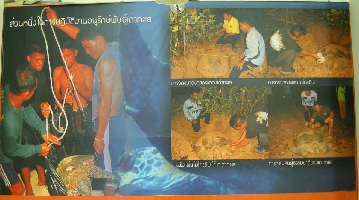 รูปภาพ