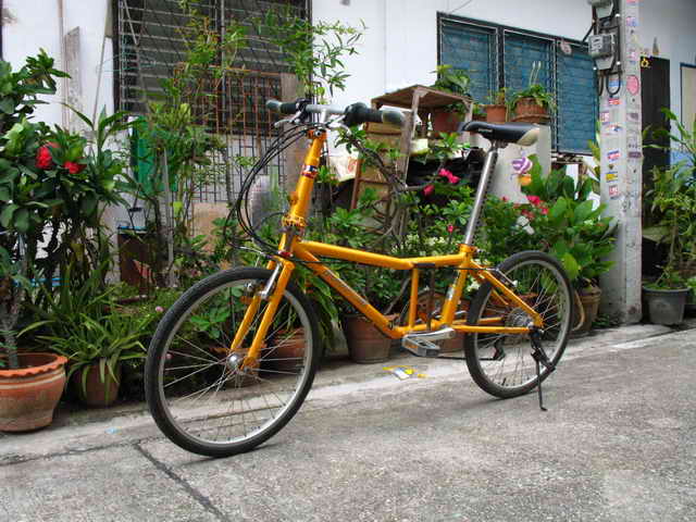 รูปภาพ